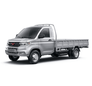Wuling Rongguang Xinka